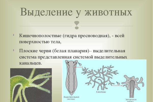 Кракен маркетплейс официальный сайт