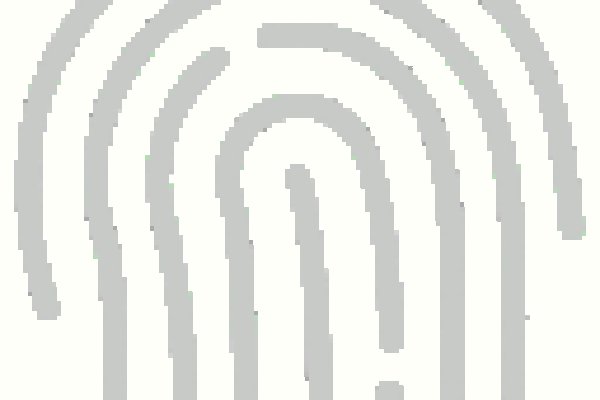 Kraken19at
