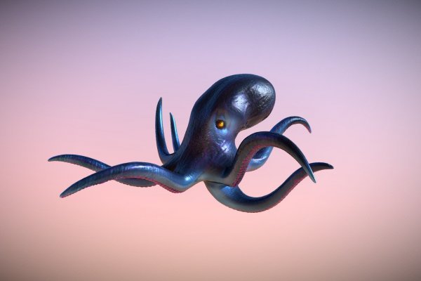 Kraken 17 at net
