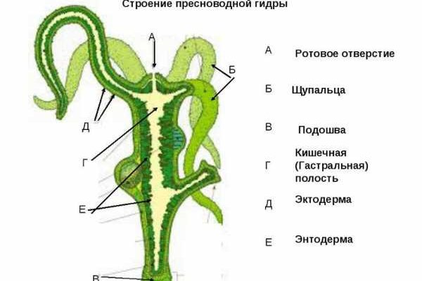 Kraken даркнет gigageek ru